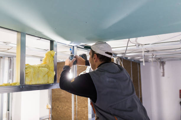 Best Insulation Installation Services in Castle Hills, TX