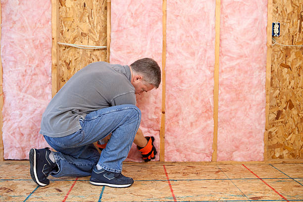 Best Energy Efficiency Solutions in Castle Hills, TX
